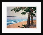 Hanging, Pine Trees on the Seashore. Japan, 19th century by Unknown