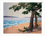 Hanging, Pine Trees on the Seashore. Japan, 19th century by Unknown