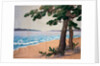 Hanging, Pine Trees on the Seashore. Japan, 19th century by Unknown