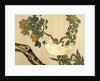Hanging scroll, detail. Japan, late 19th century by Unknown