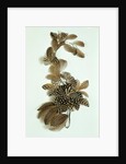 Feather ornament by Unknown