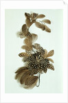 Feather ornament by Unknown
