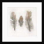 Feathers by W.C. Aitken