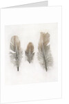 Feathers by W.C. Aitken