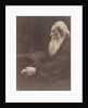 Henry Taylor by Julia Margaret Cameron
