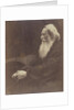 Henry Taylor by Julia Margaret Cameron