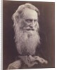 Henry Taylor by Julia Margaret Cameron