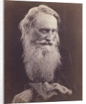 Henry Taylor by Julia Margaret Cameron