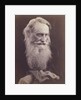 Henry Taylor by Julia Margaret Cameron