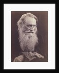 Henry Taylor by Julia Margaret Cameron