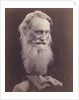 Henry Taylor by Julia Margaret Cameron