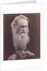 Henry Taylor by Julia Margaret Cameron