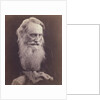 Henry Taylor by Julia Margaret Cameron