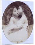 Turtle Doves by Julia Margaret Cameron