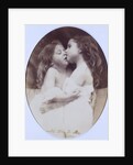 Turtle Doves by Julia Margaret Cameron