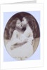 Turtle Doves by Julia Margaret Cameron