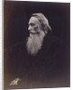 Henry Taylor by Julia Margaret Cameron