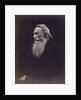 Henry Taylor by Julia Margaret Cameron
