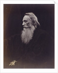 Henry Taylor by Julia Margaret Cameron