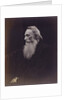 Henry Taylor by Julia Margaret Cameron