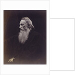 Henry Taylor by Julia Margaret Cameron