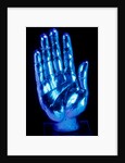 Hand from an arm reliquary. Flanders, Belgium, 13th century by Unknown