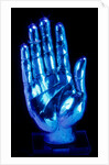 Hand from an arm reliquary. Flanders, Belgium, 13th century by Unknown
