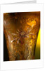 Vase by Emile Galle