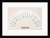 Design for a fan by P.A. Fry