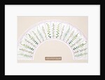 Design for a fan by P.A. Fry