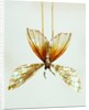 Hairpin by Unknown