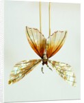 Hairpin by Unknown