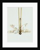 Hairpin by Unknown