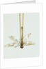 Hairpin by Unknown