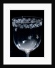 Wine Glass, detail. England, mid-19th century by Unknown
