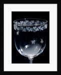 Wine Glass, detail. England, mid-19th century by Unknown