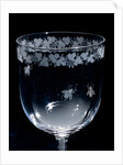 Wine Glass, detail. England, mid-19th century by Unknown