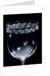 Wine Glass, detail. England, mid-19th century by Unknown