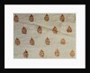 Textile by Unknown