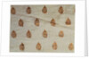 Textile by Unknown