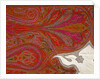 Shawl by Unknown