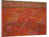 Shawl, detail by Unknown