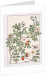 Wild Rose by Eugène Samuel Grasset