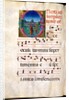 Illuminated letter O. Spain, 13th-15th century by Anonymous