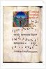 Illuminated letter O. Spain, 13th-15th century by Anonymous