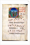 Illuminated letter O. Spain, 13th-15th century by Anonymous