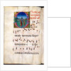 Illuminated letter O. Spain, 13th-15th century by Anonymous