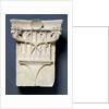 Pilaster Capital by Francesco di Giorgio Martini