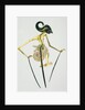 Shadow Puppet. Java by Unknown