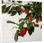 Cherries by Henri Fatin-Latour